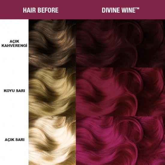 Divine Wine Divine Wine