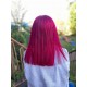 Fuschia Shock Fuschia Shock