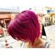 Fuschia Shock Fuschia Shock